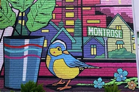 Montrose Montrose Houston