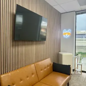 How to Mount a TV to the Wall and Hide Cords 2 Fixed Mounts