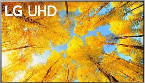 Expert LG OLED TV wall mounting services in Memorial 77024